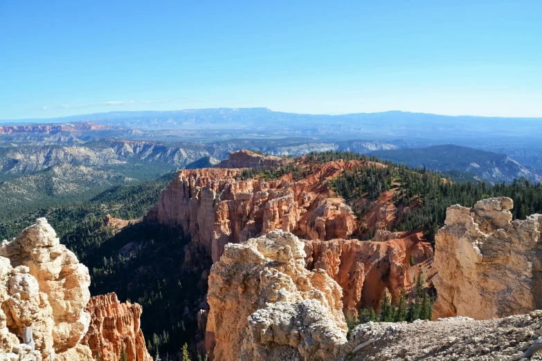 rocks and a tree in the background with a valley in the foreground