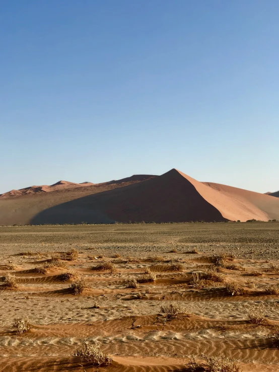 the desert with a herd of animals near by