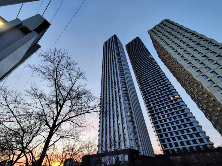 some tall buildings with some trees in front of them