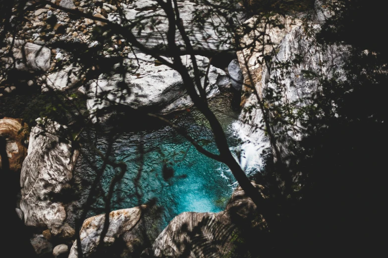 trees in the water of a rock pond