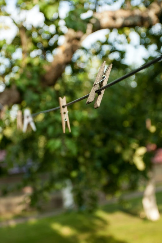 a string with scissors hanging from it on the grass