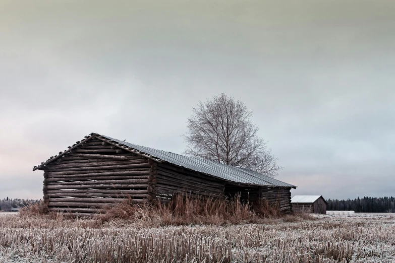 an old log barn stands out in a field