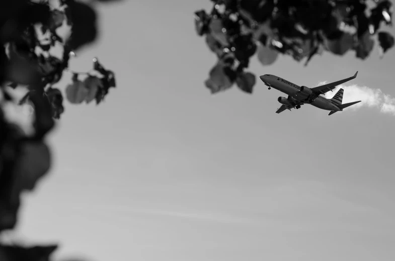 an airplane flies low over trees during the day