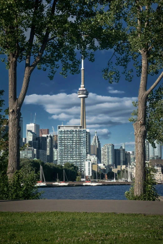 the view of toronto, canada is seen through trees