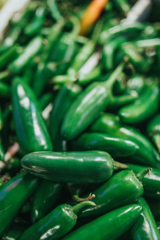 green peppers with tiny holes all over them