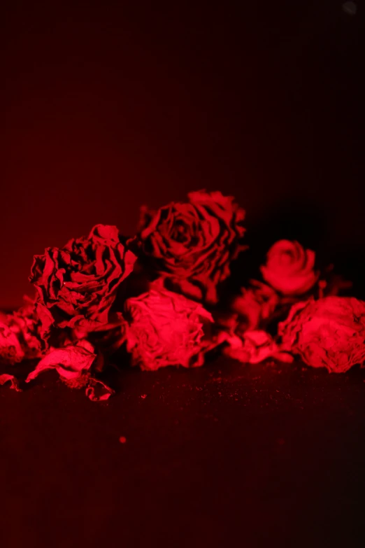 there is many roses that are sitting on the table