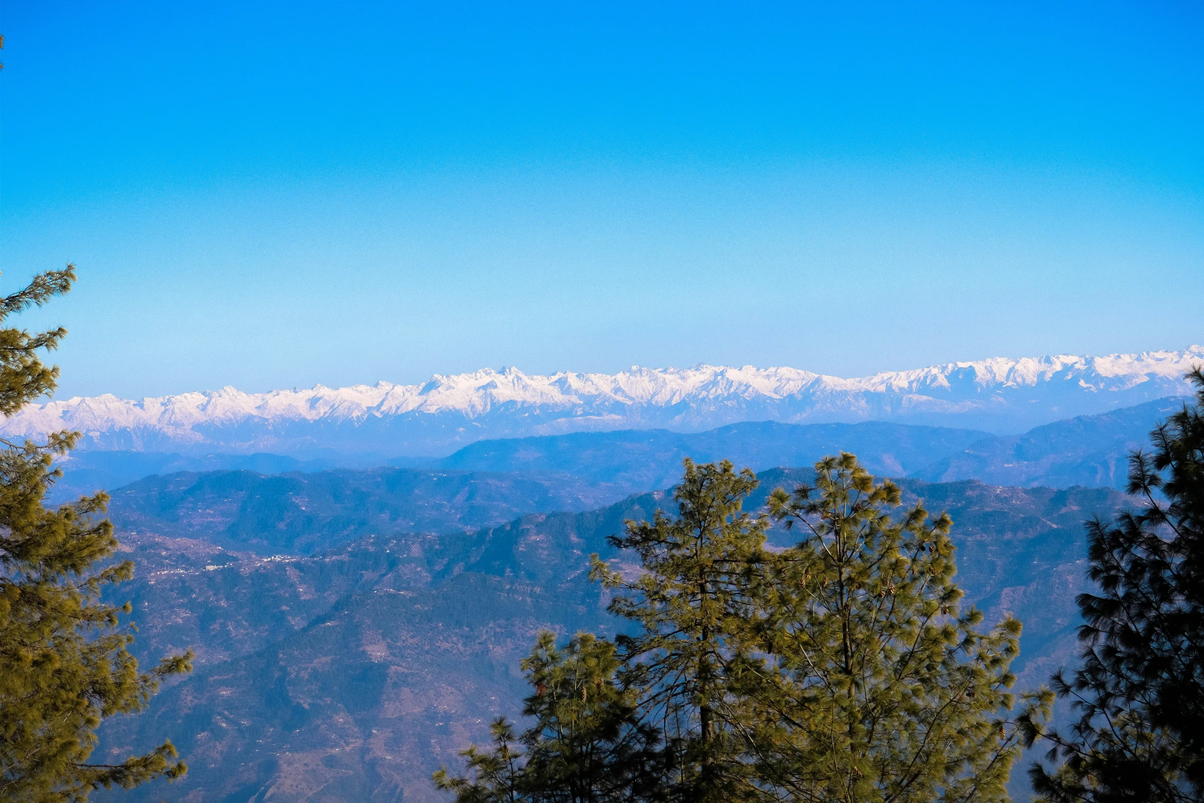 view of the mountains from the side of a wooded area