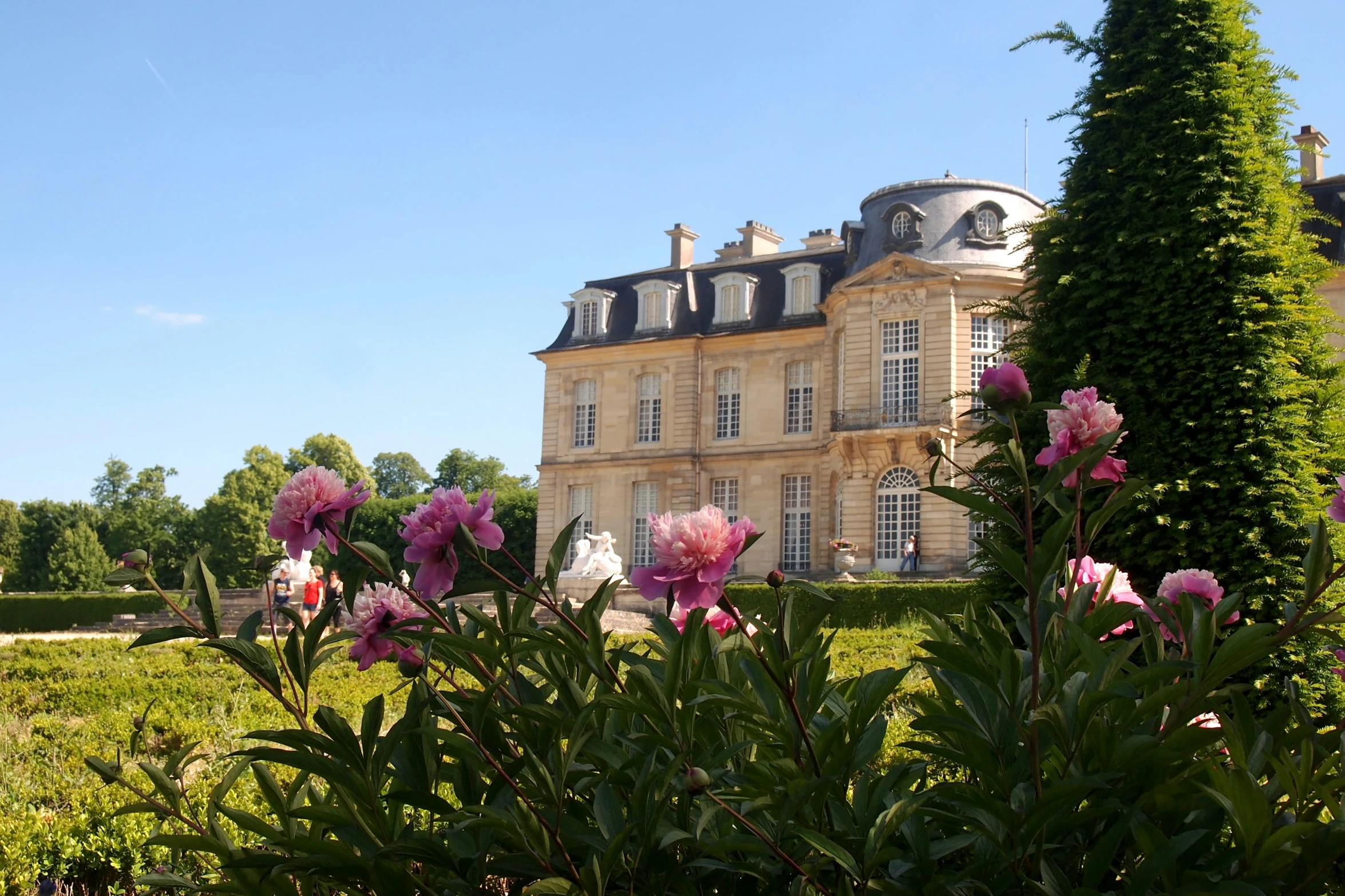 a house with a clock tower in the front and purple flowers in the foreground