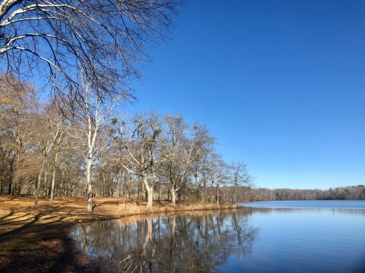 a pond surrounded by trees and the sky