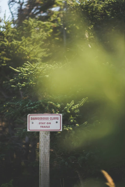 a sign saying dangerous cliffs is posted next to a forest