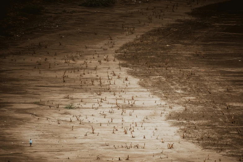 a group of people walking down a sand covered beach