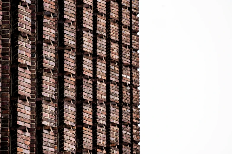 an image of a bird that is perched on top of a wall