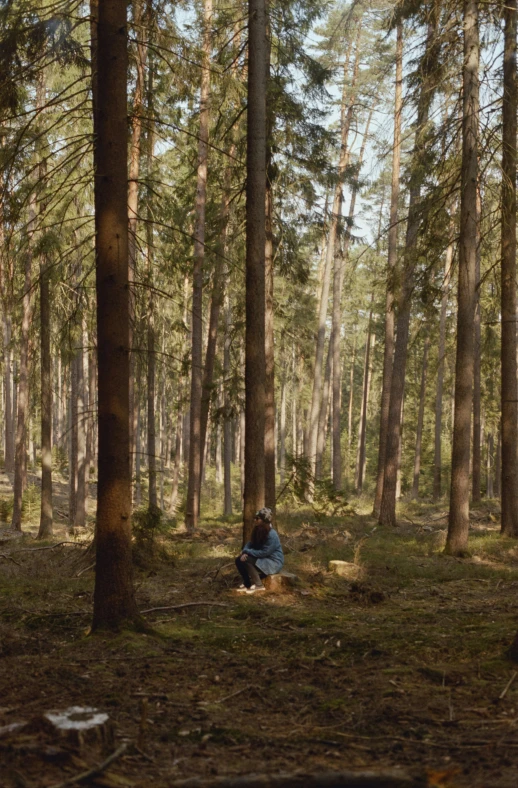 a person sits alone in the woods