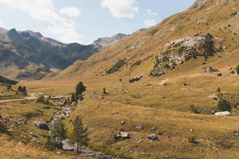 the landscape is filled with very many trees and plants