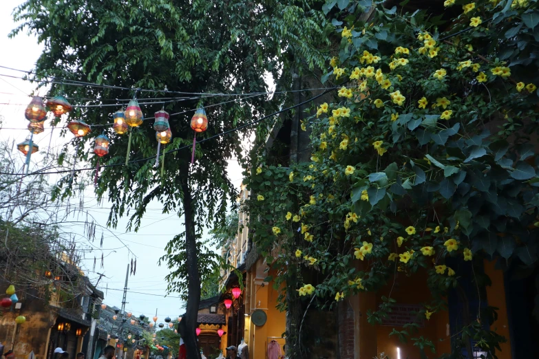 a street with lights strung above it and many people walking on it