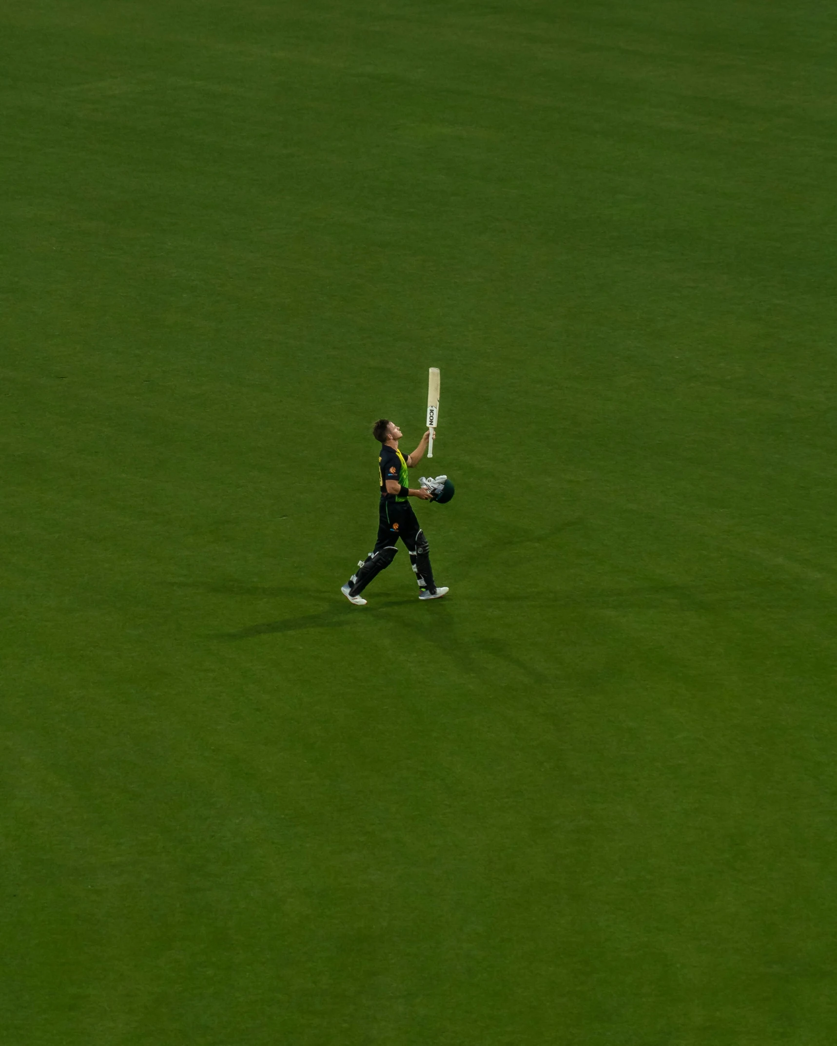 there is a man playing cricket on the field