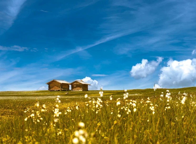 a lone house in the middle of the prairie