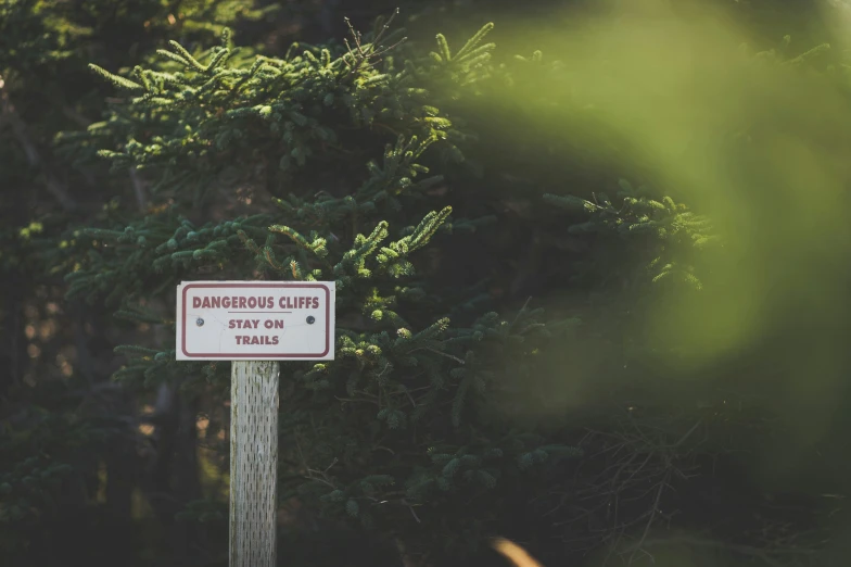 a sign showing the state and directions for some trails