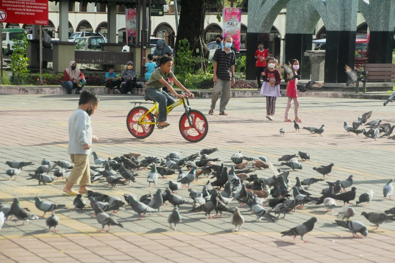 a group of children on bikes feeding pigeons