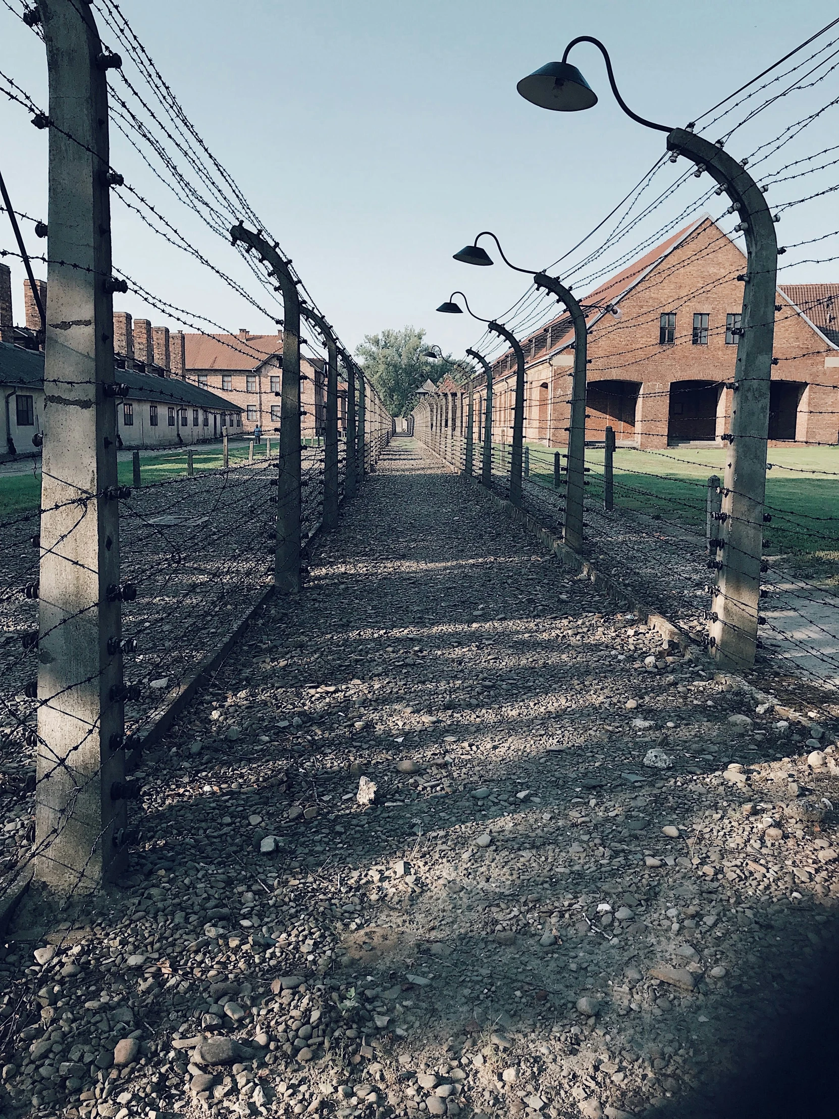 a view through a wire fence looking at the buildings in the background