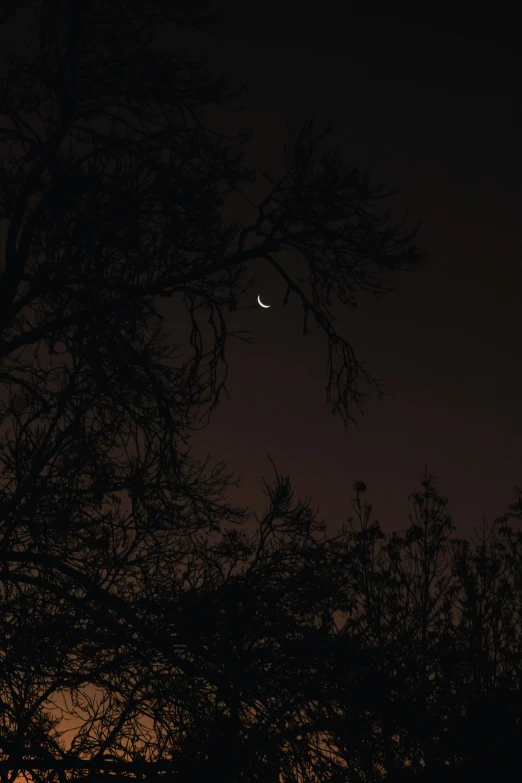 there is a moon and a tiny plane in the night sky