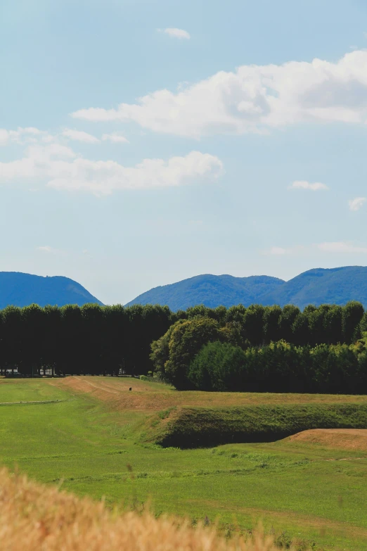 a green field with sheep grazing next to trees