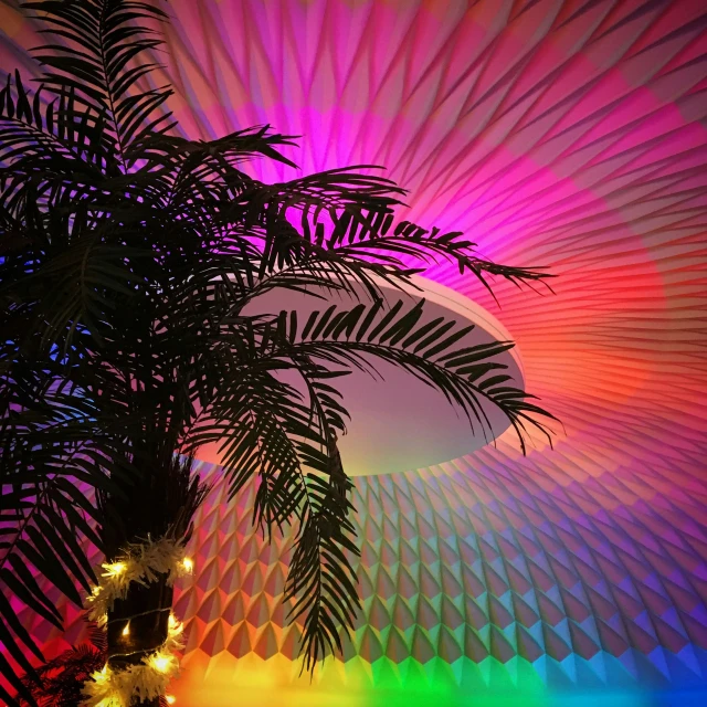 the light through the palm tree has been altered by multicolor