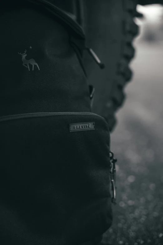 black and white pograph of a persons back pack