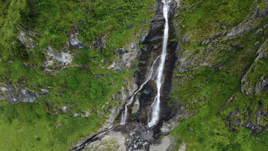 a waterfall in a valley, with an elephant standing in front