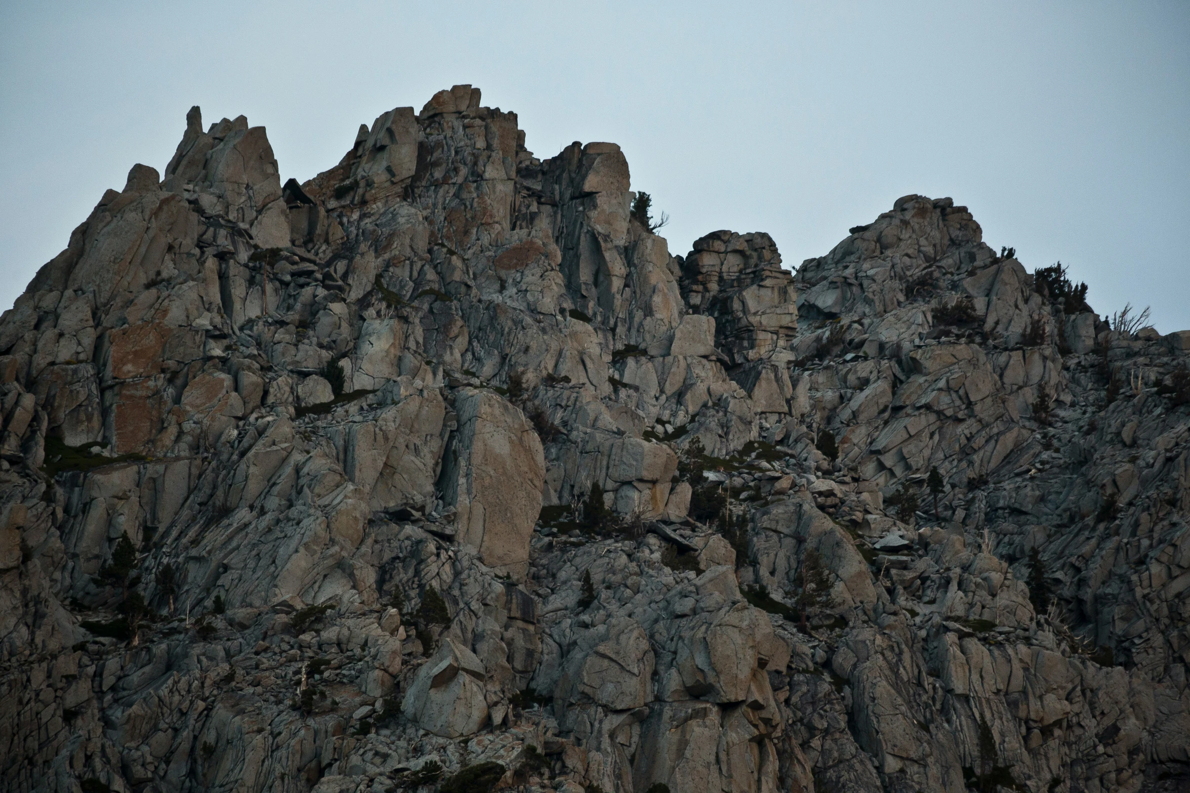 the side of the mountain has a bird perched on the top