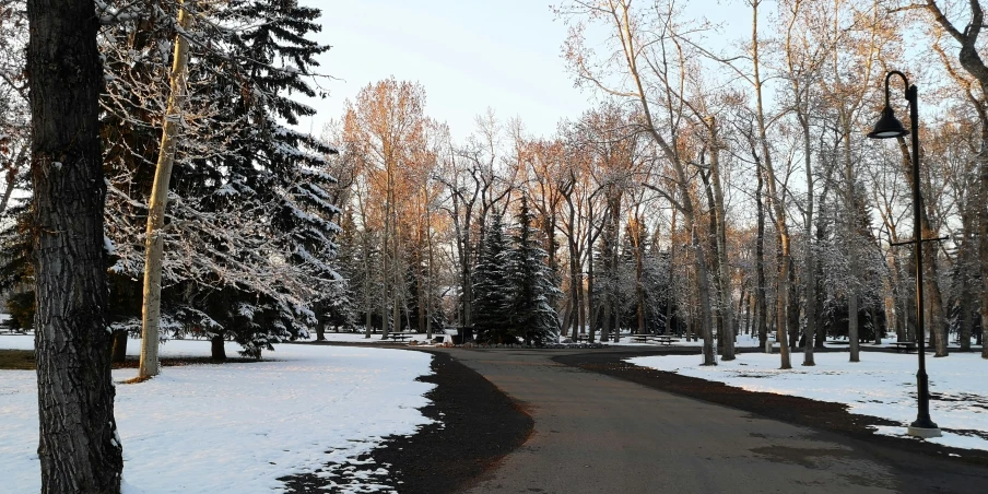 snow covering the ground next to the street