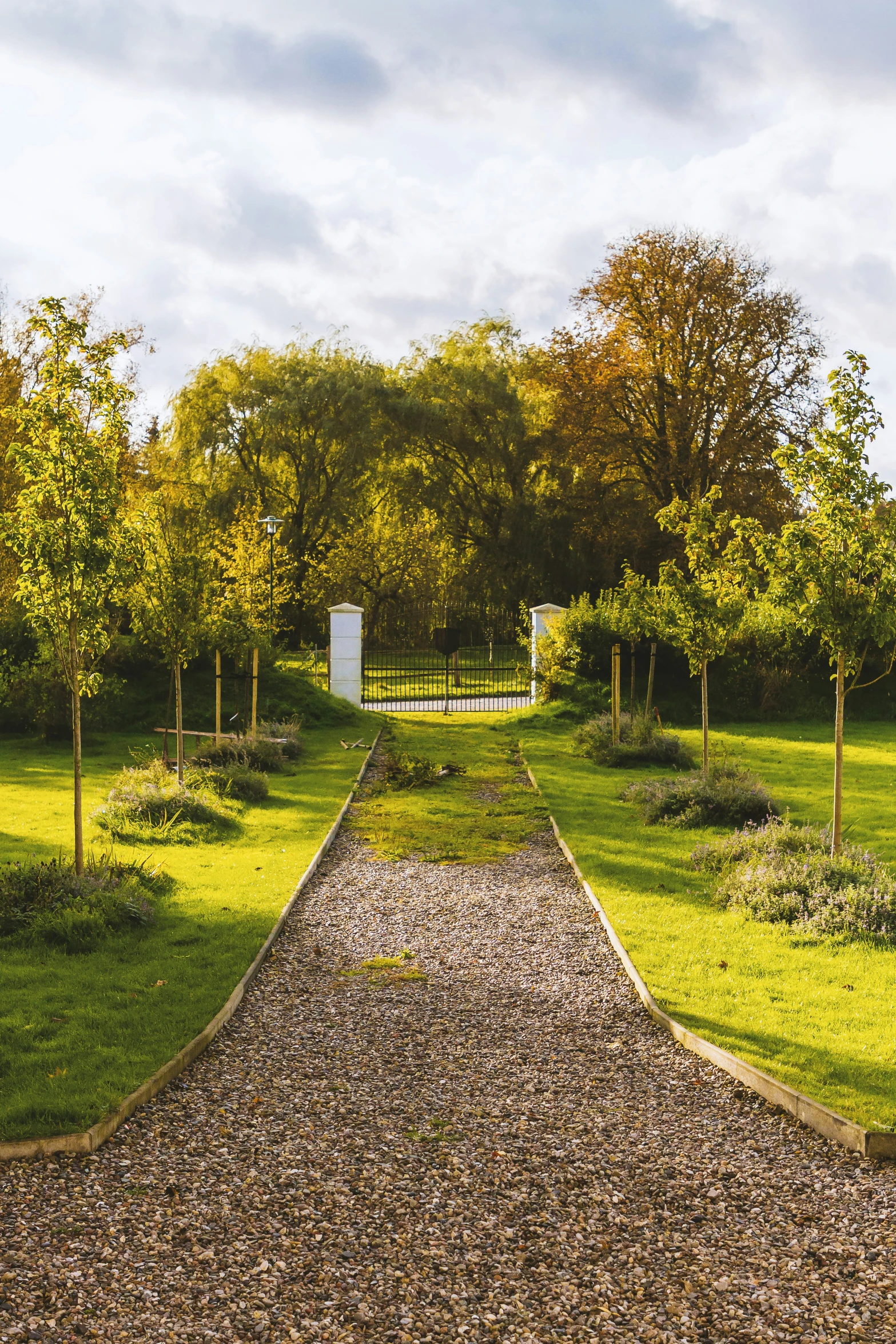 a very nice looking garden with gravel on the ground