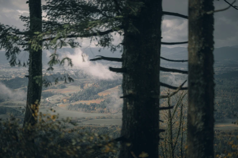 a distant view from an overlook in the woods