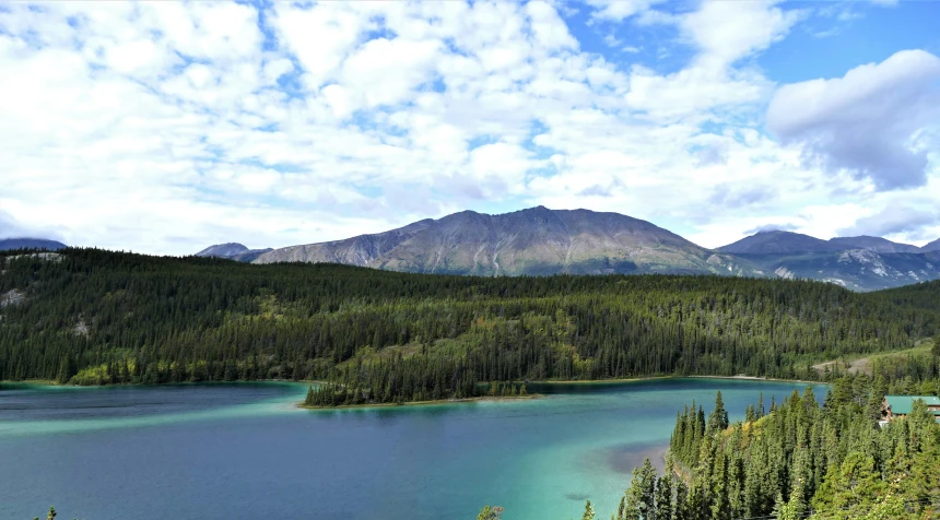 a green lake surrounded by trees on top of a mountain