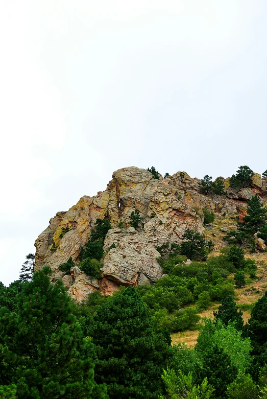 green, shrubby and rocky mountains with trees on each side