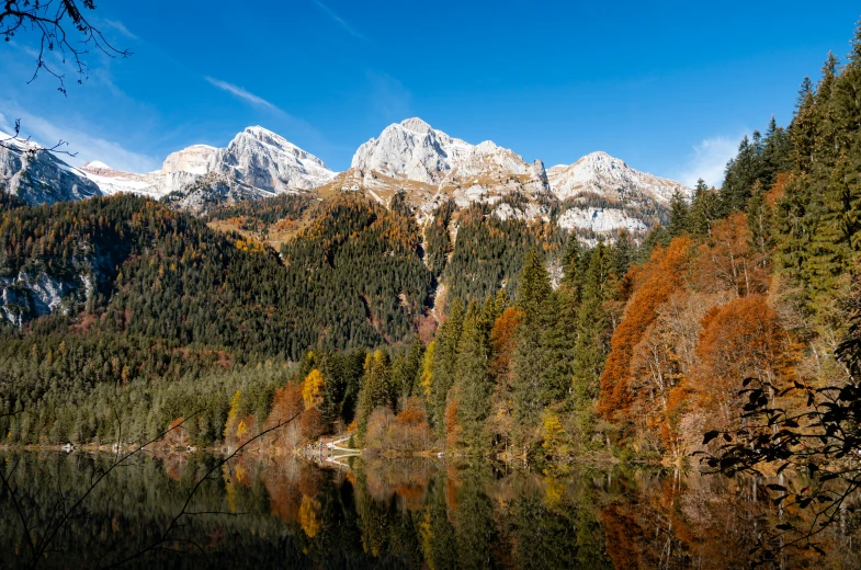 a large mountain covered in snow with a forest below it