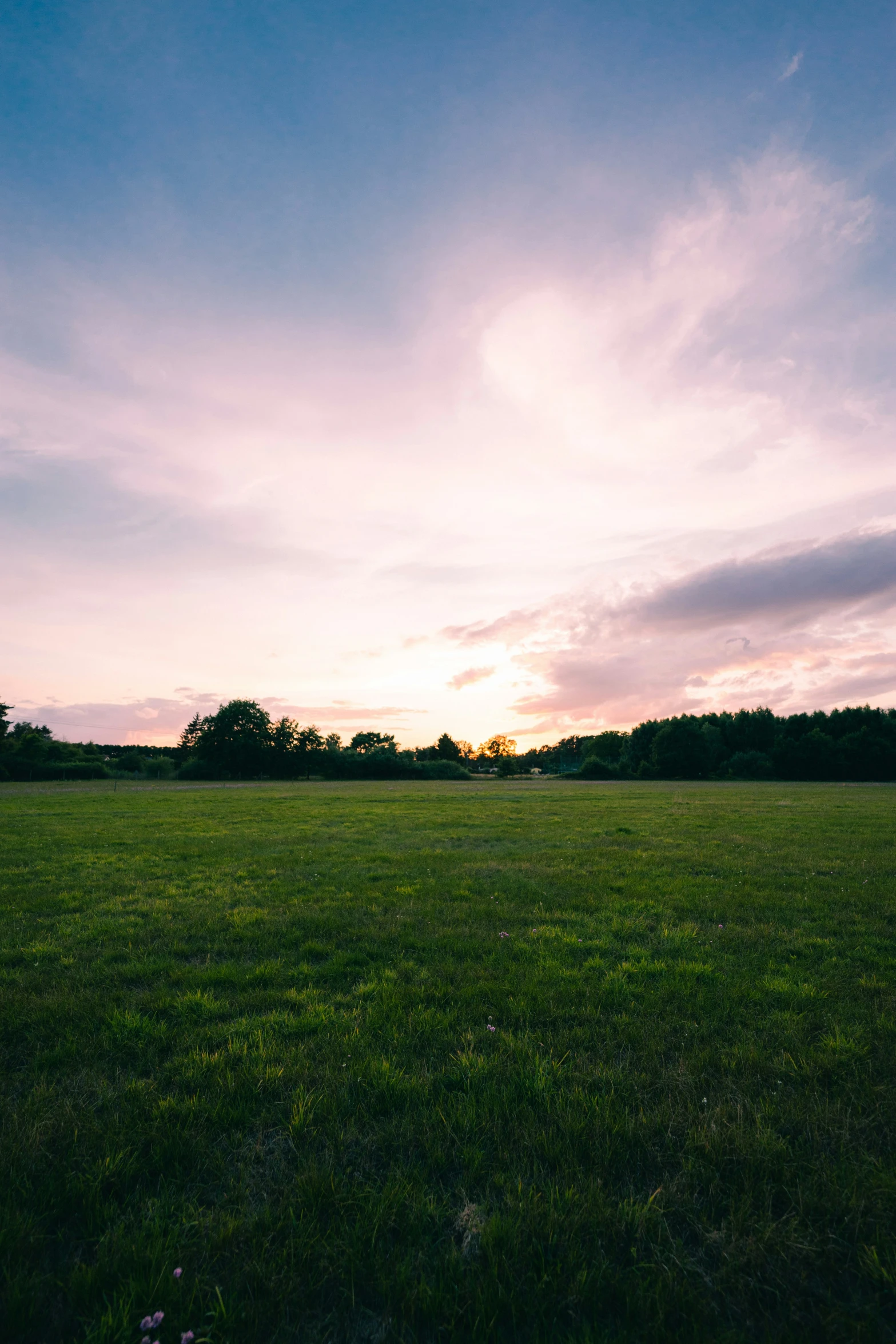 a park with lots of green grass under a cloudy sky