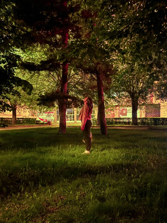 a person standing in the middle of trees on grass