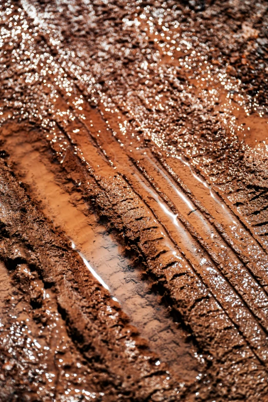 the tracks in the mud are covered with water