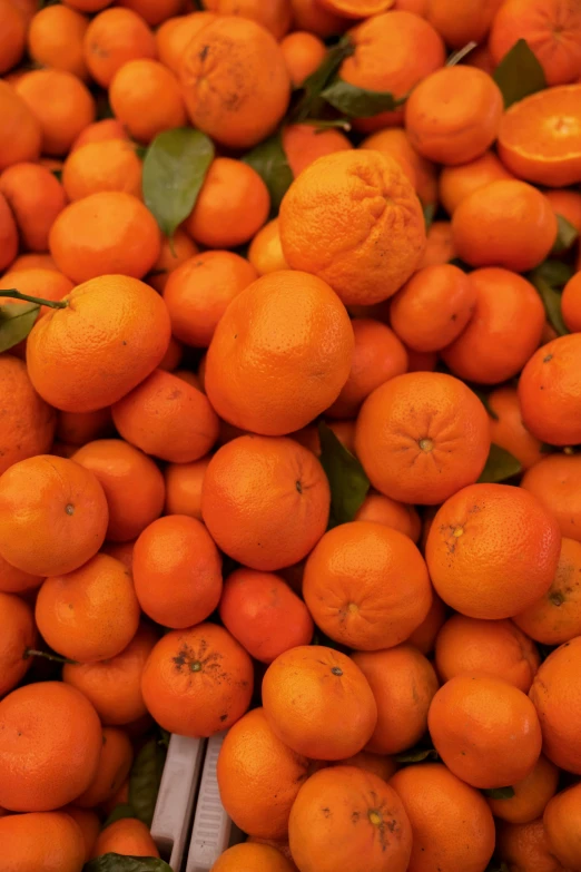 an orange that is full of different fruits