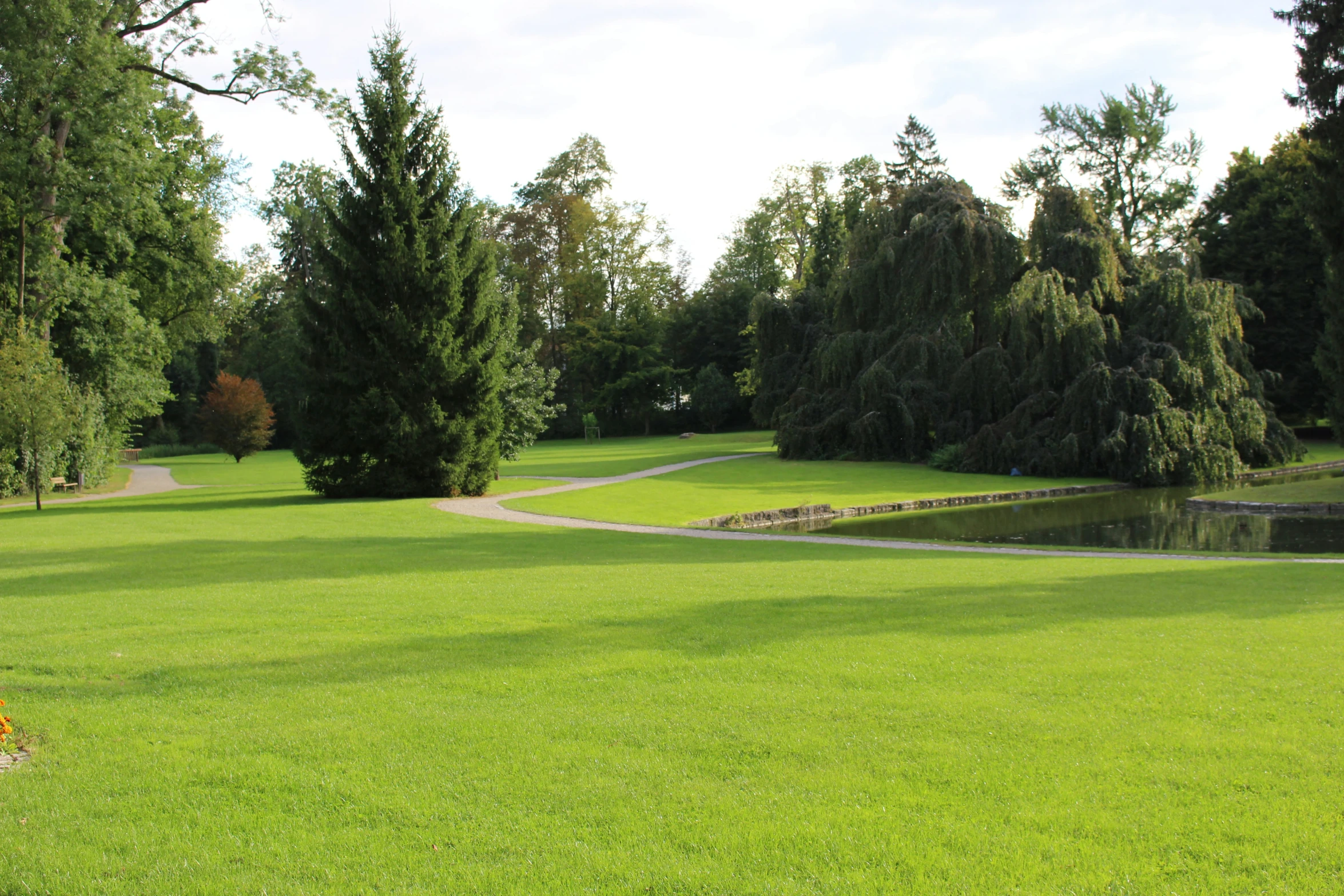 a park with a bench and water way