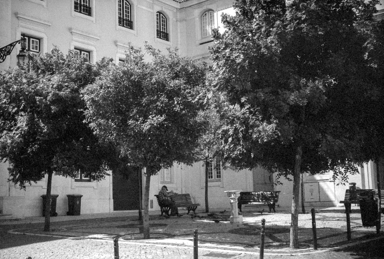 several benches and trees in front of a building