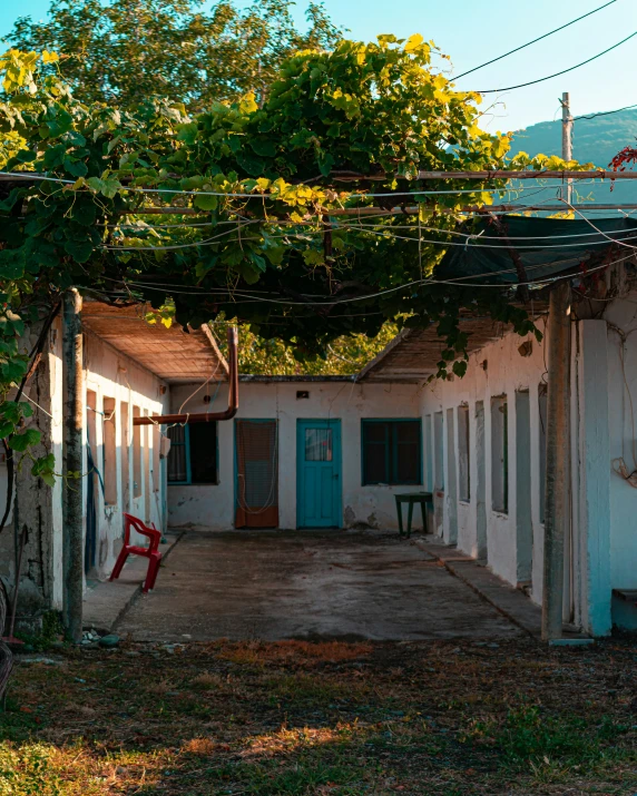 small houses in the daytime with trees surrounding them