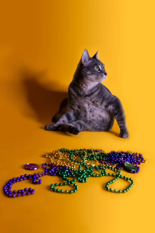 the kitten sits next to several beads that are scattered around him
