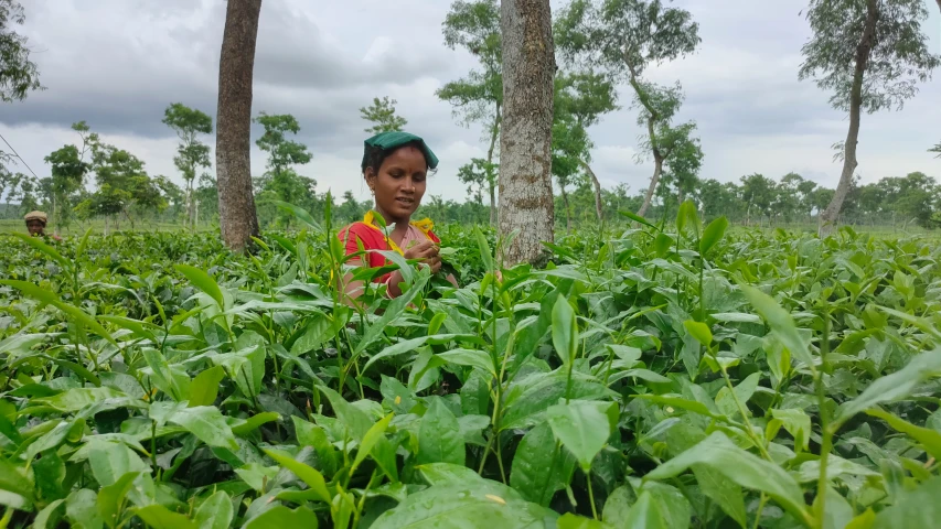 woman in the field smiling and posing for a po