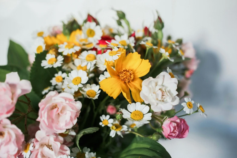 bouquet of colorful flowers and plants with green leaves