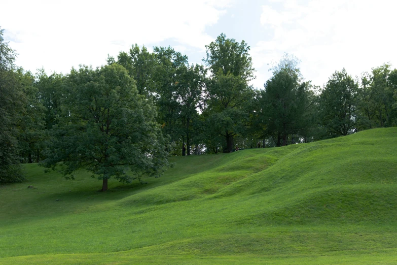 a man walking through a green hill with trees