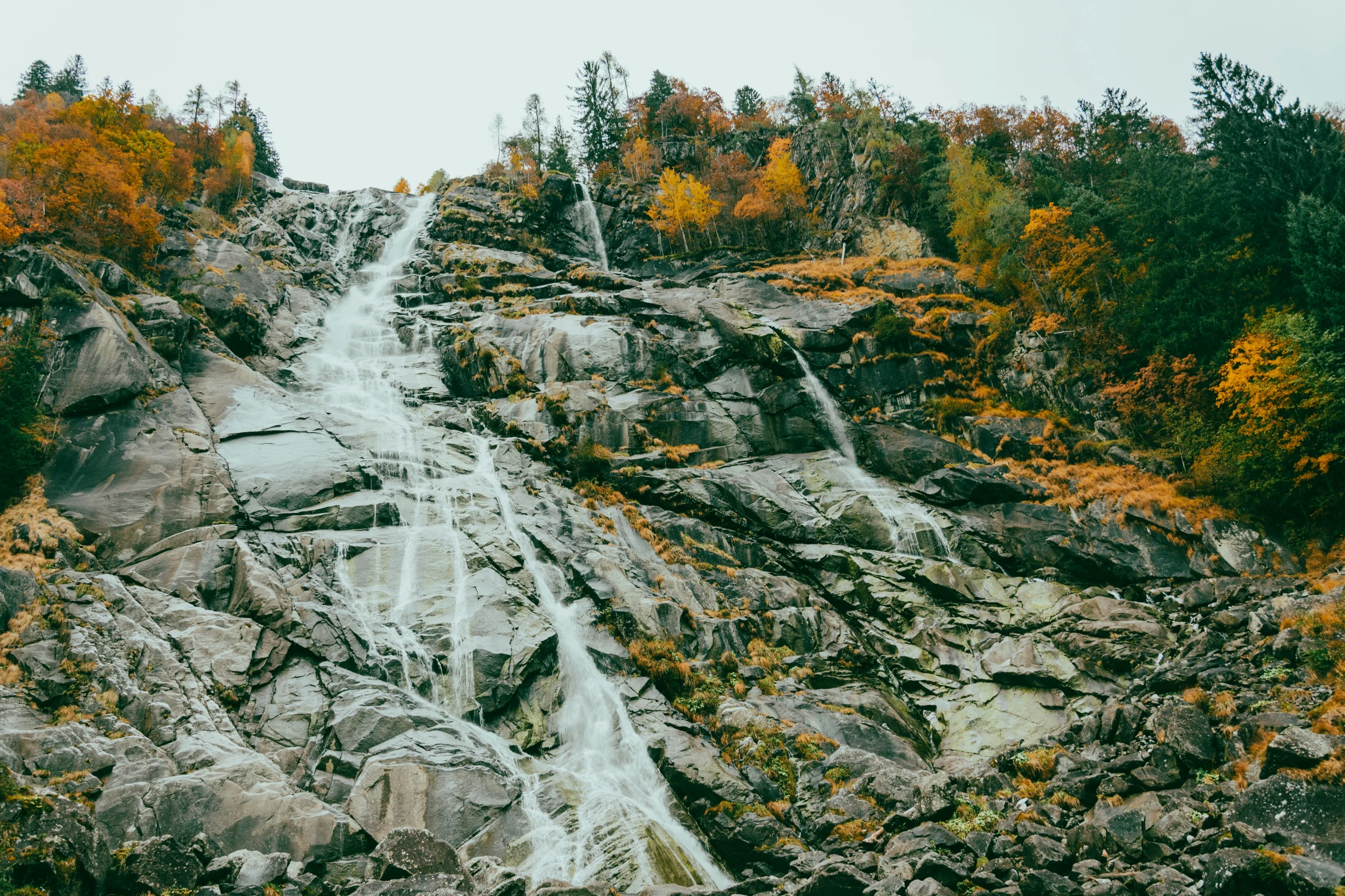 some trees and a waterfall near some rocks