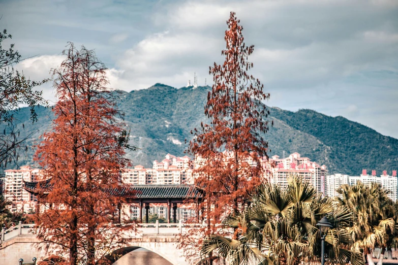 an outdoor area in the city with buildings on one side and palm trees in the other