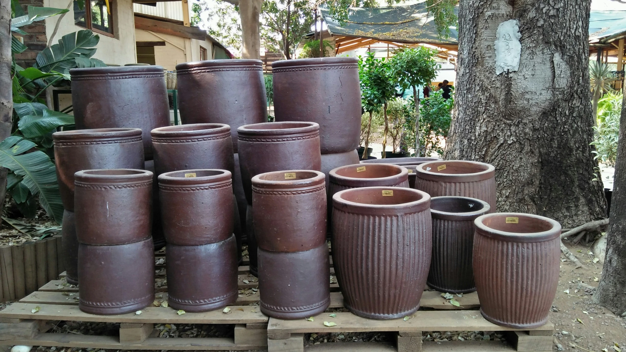 a variety of clay pots sit on a pallet